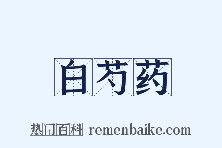 白芍药是什么意思的图片